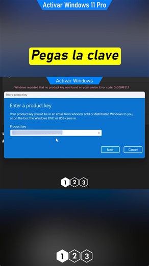 Cómo activar Windows 11 Pro en PC/Laptop 2025, no GRATIS, sí BARATO! Part 4 | LIONTO PRO | Facebook