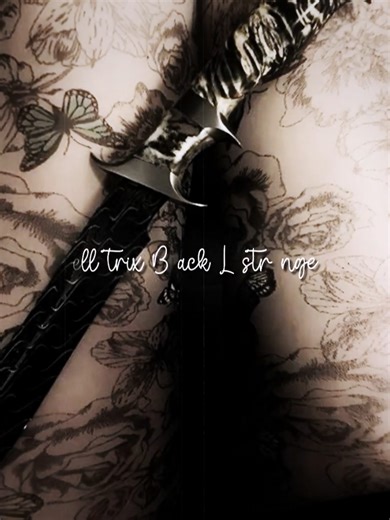 Bellatrix and Sirius Black: The Ultimate Cousin Duo