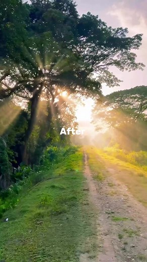 Learn How to Edit Beautiful Photos with Lens Distortions App