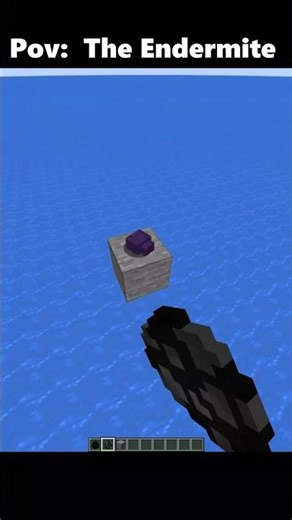 Minecraft endermite vs 1000 enderman #viral #shorts
