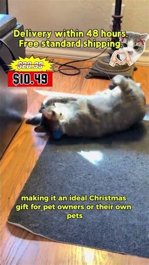 Miniature realistic flapping fish cat toy