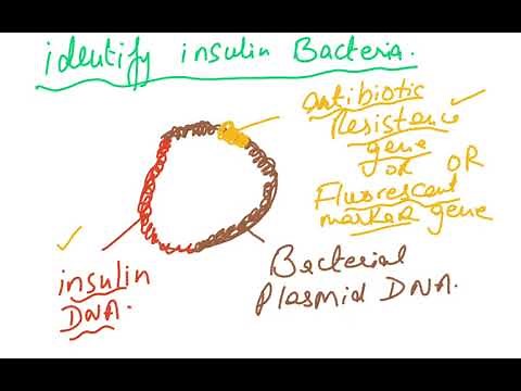 5090 BIOLOGY O LEVEL INHERITANCE VIDEO 3 ,,,,