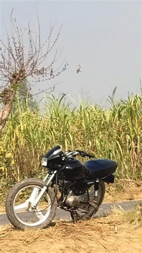 modified splendor reaction video Panda luck 💥💰 modification #ytshorts #youtuber #shorts #ytstudio