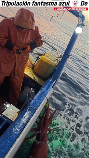 pesca de Jibia - Weste de Quintero su Kraken #pesca #fishing #fishing