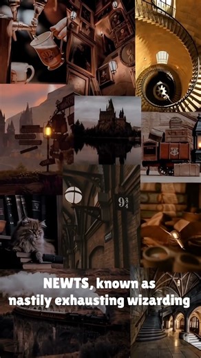 What Do Students Actually Study at Hogwarts? 🪄📚