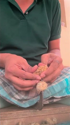 Areca Nut Farming in India | Full Guide 🌱