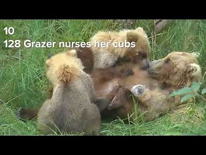 Top Ten EPIC Bear Cam Moments of 2021