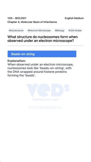 Nucleosome Structure Under Electron Microscope Biology 12th