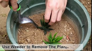 Garden Tool Set 98 Piece Gardening Kit, Heavy Duty Aluminum Alloy Hand Tools with Ergonomic Handle, Gardening Gifts for Women and Men, Includes Trowel, Shovel, Hand Weeder, Knee Pads, Storage Tote Bag