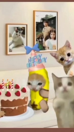 happy birthday!!! 🎉🎈 #cat #catmeme #meme #happycat #bananacat #elgato