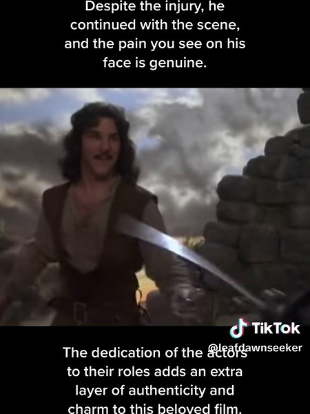 El Zorro vs Inigo Montoya: The Princess Bride Sword Fight