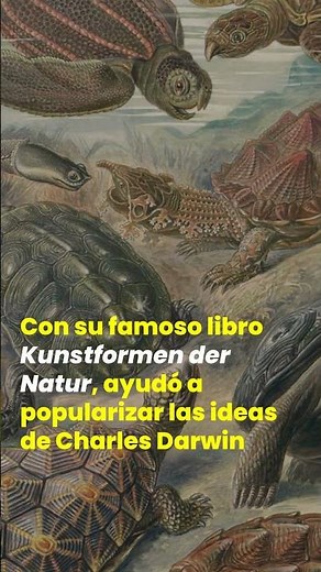 Ernst Haeckels, Dibujar la naturaleza #arte #artelover #artelovers #history