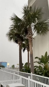 22K views · 537 reactions | ❄️Snow Day on the Coast!❄️ 1/21/25 | South Beach Biloxi Hotel & Suites | Facebook
