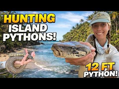 36 Hours in the Everglades: Python Hunting Remote Islands