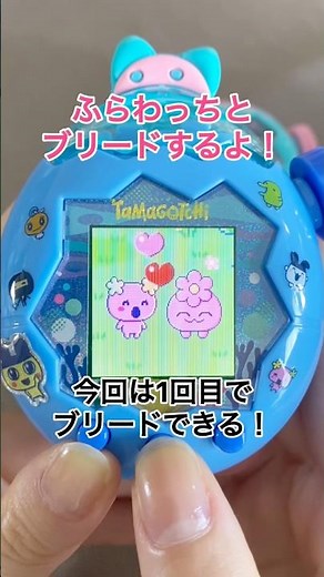 ふらわっちとブリードするよ❗️🌸 #たまごっち #たまごっちパラダイス #tamagotchiparadise #tamagotchi #다마고치