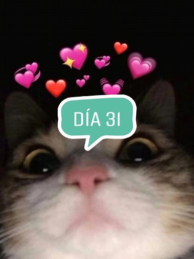 [Hometown Smile - Bahjat] ya va un mes 😢😢😢 #bff #best #friends #forever #a y #c #amigos #lyrics #music #fypシ #hometown #smile #bahjat #fyp #viral dejare de subir videos, talvez sea la última, espero que no, la causa es porque quiero volver a encontrarme con mi mejor amiga, para eso tengo que esforzarme mucho a si que gracias por el apoyo y nos volveremos a ver