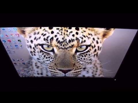 Dell P2414H Viewing Angles