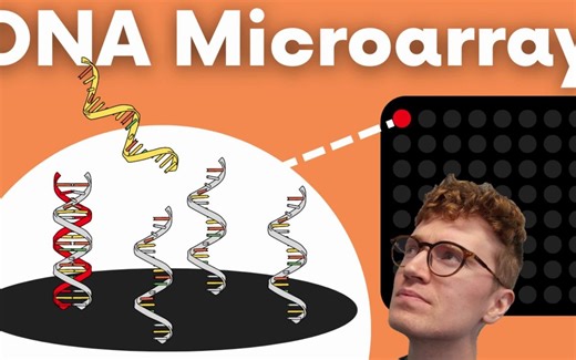 4 Steps of DNA Microarray Technique (DNA Chip)