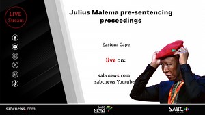 LIVE | Malema's pre-sentencing hearing in firearm discharge case - SABC News - Breaking news, special reports, world, business, sport coverage of all South African current events. Africa's news leader.