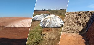 Tipos de silos para silagem: qual o melhor para sua propriedade?