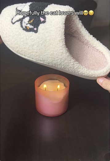 TikTok · catslides2