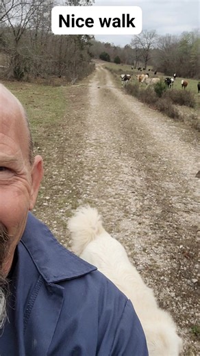 Road Warrior Automotive LLC on Reels