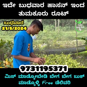 5.3K views · 81 reactions | 華ಇದೇ ಬುಧವಾರ ಹಾಸನ್ ಇಂದ ತುಮಕೂರು ರೂಟ್।। ಮಿಸ್ ಮಾಡ್ಕೋಬೇಡಿ ಬೇಗ ಬೇಗ ಬುಕ್ ಮಾಡ್ಕೊಳ್ಳಿ Free ಡೆಲಿವರಿ華 | Touch with Anil | Facebook