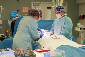 Hot Chemo Bath Lessens Side Effects of Traditional Chemotherapy