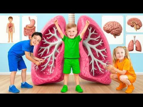Kids Explore the Human Body!