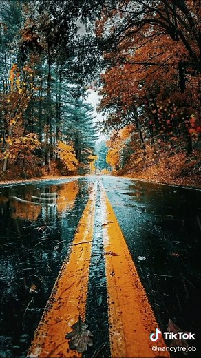Fondos de Pantalla Animados 4K de Lluvia y Naturaleza
