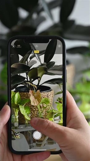 iphone 13 pro max camera test