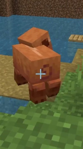 Minecraft Pov: You Generate a New World Moment #minecraft #minecraftshorts