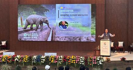 Environment Ministry organizes 2-day workshop to address challenge of elephant-train collisions