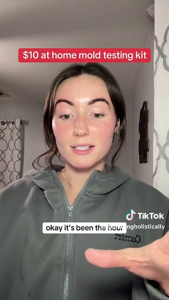 Affordable At Home Mold Testing Kit Review