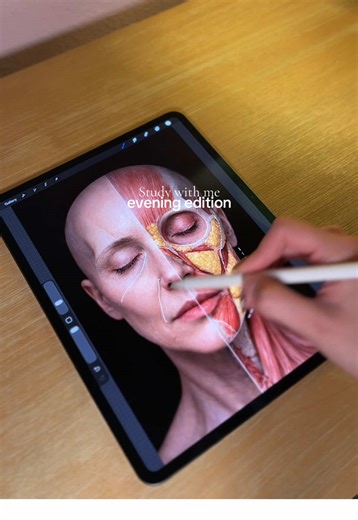 Evening Study Session for Effective Learning