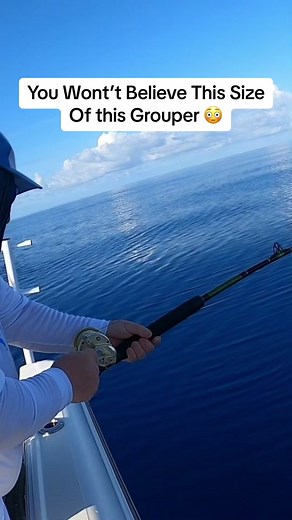 You Guys Wont Believe the Size of this Grouper 😳!! #grouper #offshore #fishing #biggrouper