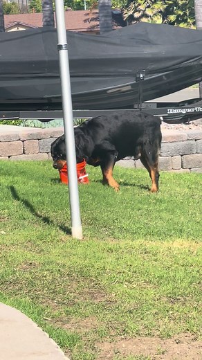 David (@davidpendleton4)’s videos with original sound - David