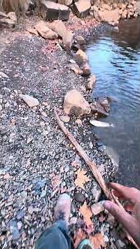 Lake McSwain