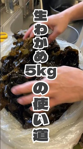 【大量消費】生わかめ5kgの使い道#レシピ#大量消費#わかめ#生わかめ#料理#料理動画#クッキング#cooking