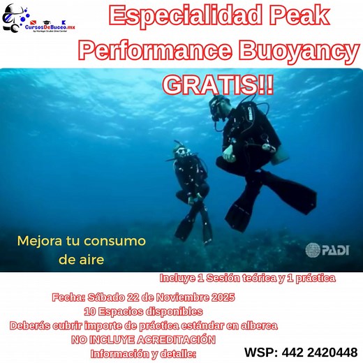 El control de flotabilidad involucra mucho más que solo determinar cuanto lastre requieres, el reparto, posición hidrodinámica, visualización, acercar tu centro de flotabilidad con tu centro de gravedad, estabilidad, etc. Aprenderás como mejorar tu consumo, desplazamiento y diversión en el buceo con esta especialidad y lo mejor, ES GRATIS al cubrir una practica Full review en alberca. Aparta tu espacio por WSP que la fecha se aproxima. #cursosdebuceopadi #cursosdebuceo #buceo #noriegascuba #buce