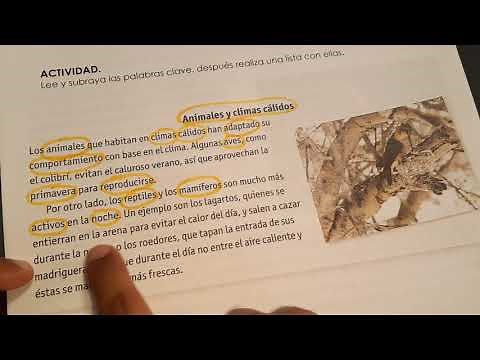 ¿Cómo obtener palabras clave de un texto?