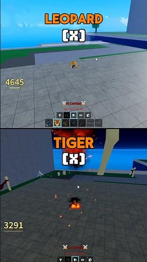 Leo VS Tiger showcase (tranformed) | #bloxfruitsupdate #bloxfruits #roblox
