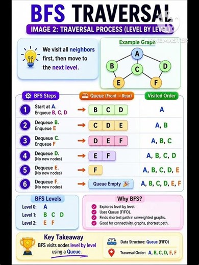 Breadth First Search (BFS) 🌐 | Graph Traversal