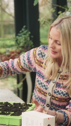 10K views · 14 reactions | Sow From Seed - episode 6 of The Magic Of Flowers, on YouTube now   @icenistudios #flowers #fyp #spring #seeds #gardening | Willow Crossley Creates | Facebook