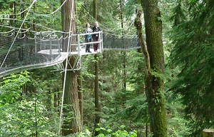 Greenheart TreeWalk - UBC Botanical Garden