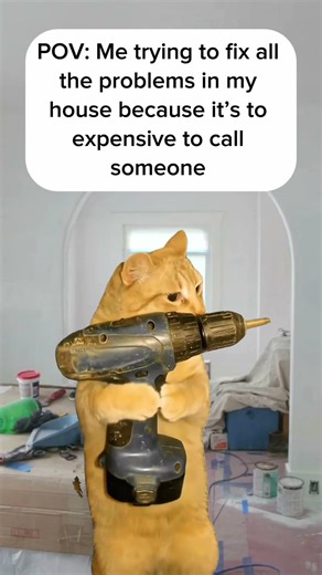 POV: My trying to fix all my home problems by myself #costofliving #meme
