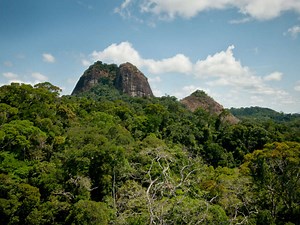 Les milieux terrestres