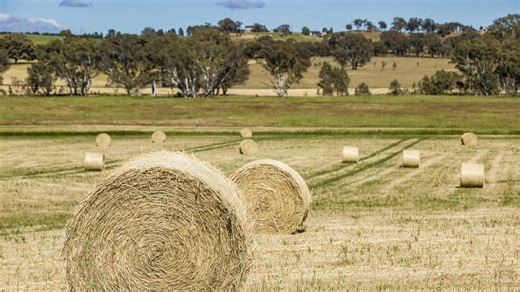 Farm tragedy: First workplace death for 2026