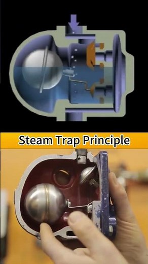 What is a steam trap.#SteamTrap #IndustrialValve #SteamSystem#Valve