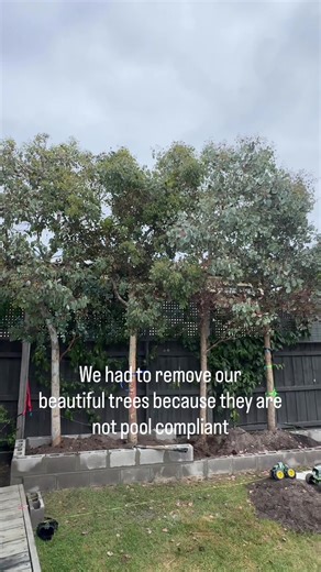 Pool fence laws are the real deal and I’m so glad we had a pre fence inspection to find out all these rules !! Now to just watch for the new ones to grow in the right place 😐 #backyardreno #poolfence #backyardrenovation